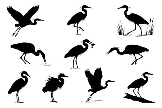 Silhouettes of herons in various poses: flying, standing, hunting, and feeding.
