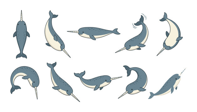 Cute cartoon narwhal characters collection showing various swimming poses and angles isolated on a clean white background vector