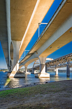 Beneath ISeattle Highway Bridges 3