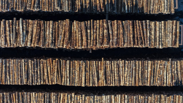 Aerial view of neatly stacked timber logs arranged in rows at a lumber yard in Nelson, Nelson Region, New Zealand.