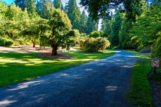 Washington Park Arboretum Path 2