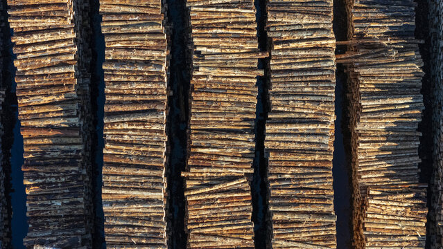 Aerial view of stacked timber logs arranged in neat rows at a lumber yard in Nelson, Nelson Region, New Zealand.