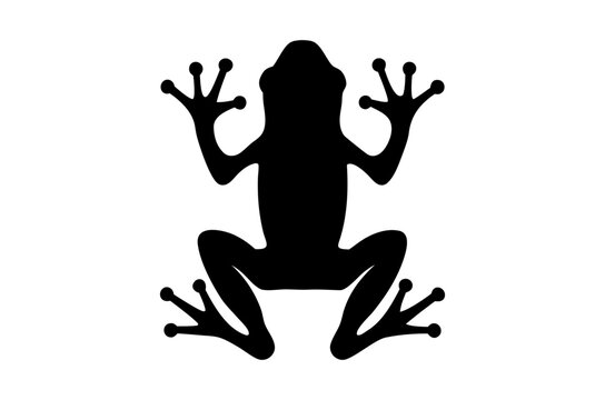 Frog silhouette vector, black animal nature wildlife design