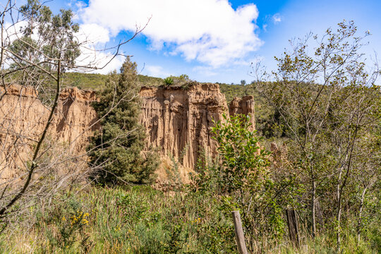 Eroded Clay Cliffs and Hoodoos framed by Trees. Tatacoita - Nemocon