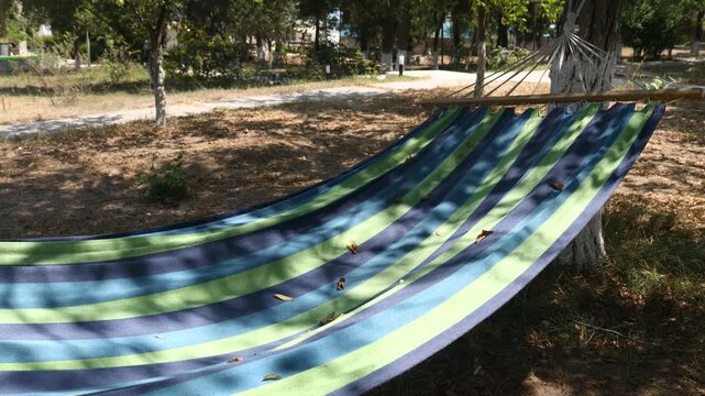 A hammock hangs from a tree in a peaceful park setting
