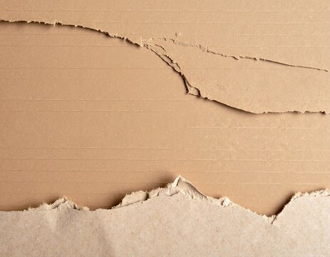 a piece of cardboard paper with a hole in it