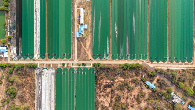 Aerial view of the Algae Production Unit featuring long green cultivation raceway ponds arranged in rows, surrounded by dry terrain and dirt paths in Karaikudi, Tamil Nadu, India.