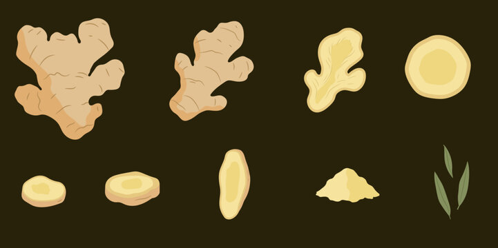 hand drawing ginger set full and sliced and powder 