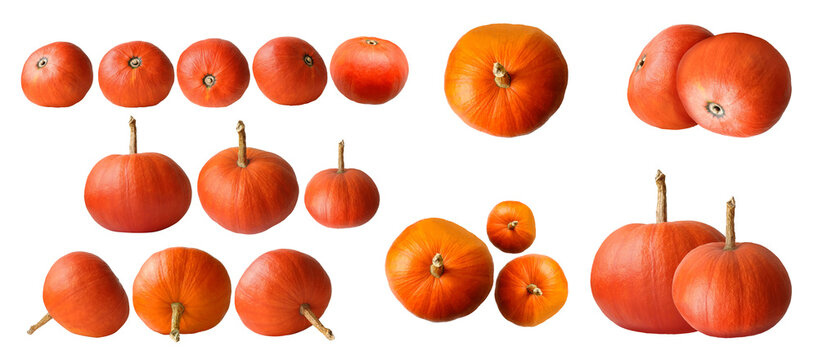 Realistic set of orange pumpkins of various sizes and angles, isolated on transparent background. Perfect for autumn, Halloween, Thanksgiving and harvest designs.