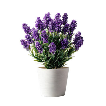 dimensional plastic potted lavender plant cutout isolated illustration on transparent cutout isolated illustration on transparent background