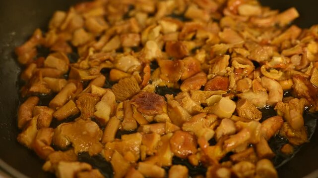 Close-up video of fresh chanterelle mushrooms being fried in a pan