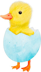 Cute Duckling in Easter Egg Watercolor Clip Art © Je