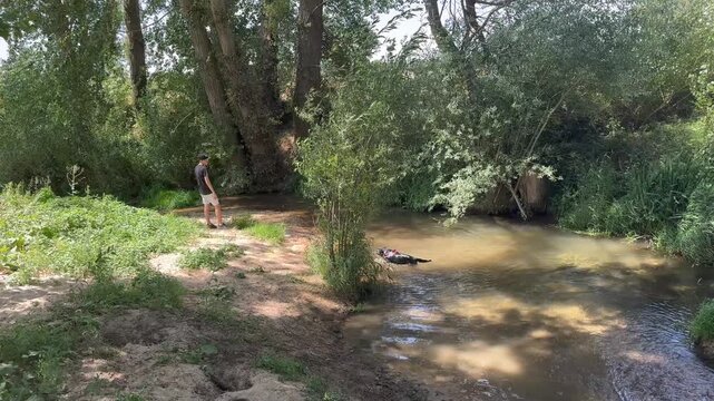 Adorable dog playfully swimming in a calm river on a sunny day. Its male owner stands on the bank, watching over the happy pet