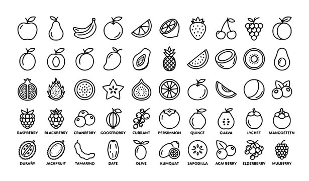 Minimal Botanical Fruit Monoline Icons with Editable Stroke Vector Collection
