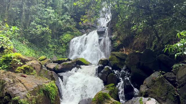 A serene waterfall cascades down a rocky slope in a lush green forest, captured in a calming video.