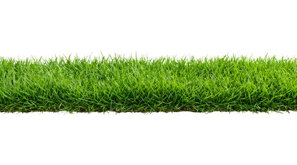 Fototapeta premium Fresh green grass strip isolated on transparent background