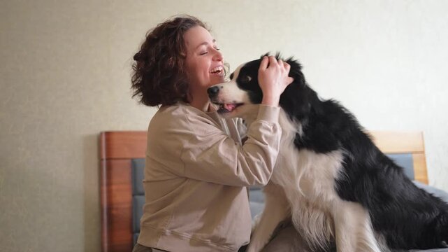 Smiling woman playing with cute puppy dog border collie on bed at home indoor. Owner girl stroking holding dog friend sitting on sofa in living room. Love for pets friendship support team concept