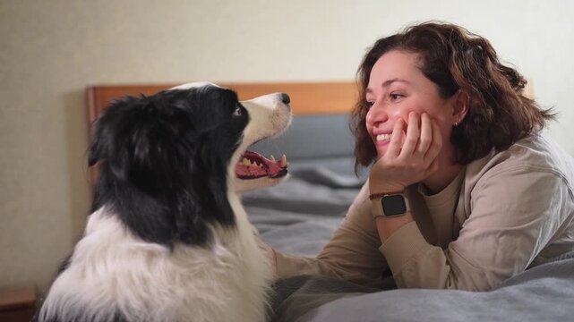Smiling woman playing with cute puppy dog border collie on bed at home indoor. Owner girl stroking holding dog friend sitting on sofa in living room. Love for pets friendship support team concept