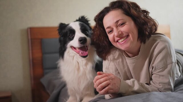 Smiling woman playing with cute puppy dog border collie on bed at home indoor. Owner girl stroking holding dog friend sitting on sofa in living room. Love for pets friendship support team concept