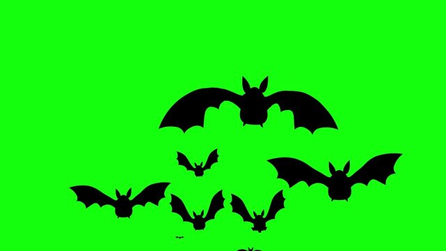 Flying Bat on Green Screen Chroma Key Halloween Animation 4K
