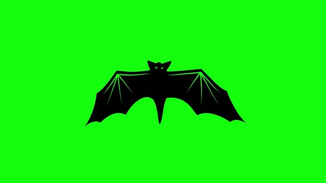 Flying Bat on Green Screen Chroma Key Halloween Animation 4K