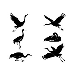 Naklejka premium Set of black crane silhouettes in various flight and standing poses isolated on white.