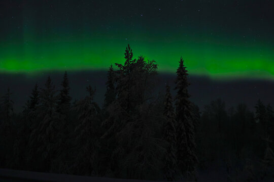 Aurora Borealis glowing in Arctic Circle dark night sky above winter forest trees; green Northern Lights dancing in Lapland, Finland