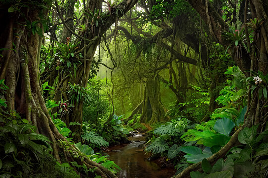 green forest in the morning