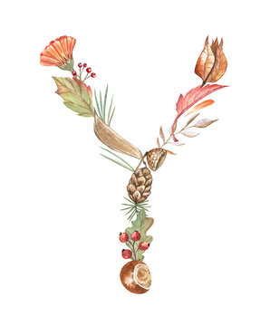 Autumn botanical letter Y made of leaves, chestnut, flowers, berries, and pine cone. Beautiful alphabet letter for books, stickers, school cards