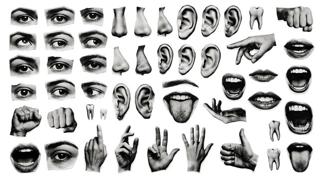 Collage of vintage black and white body parts isolated on transparent background