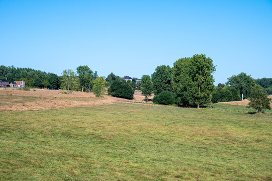 Rolling partly dried-out pastures in the Flemish Ardennes