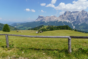 Fototapeta premium Sommer in Südtirol