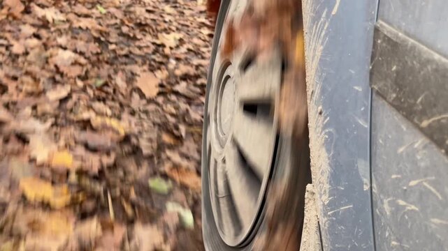 Low angle view of muddy car wheel spinning over leaf covered forest trail with blurred spokes, yellow leaf caught near tire, and scratched body panel with dried mud streaks