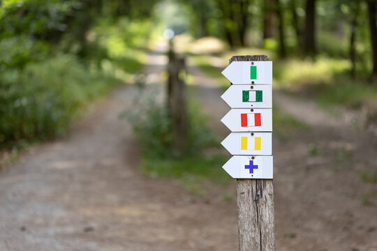 Wooden signpost with colorful trail directional markers along a forest path in nature in Belgium