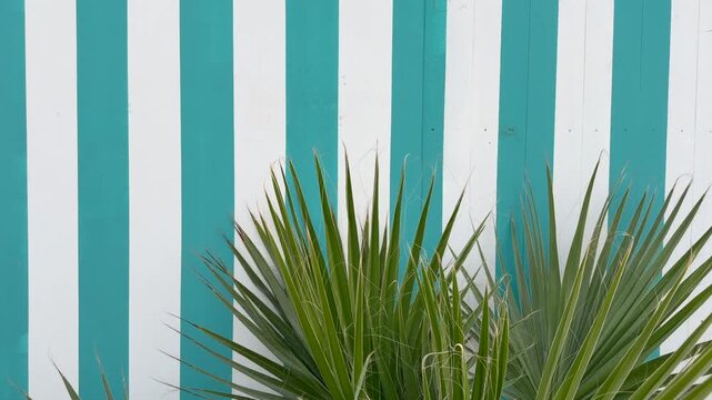 Blue and white striped background with green palm leaf showing tropical coastal summer aesthetic. Mediterranean resort and summer vacation lifestyle pattern concept. Gentle breeze