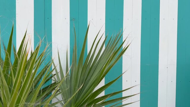 Blue and white striped pattern with palm leaf in alternative angle showing tropical summer resort aesthetic. Coastal beach club and Mediterranean lifestyle concept.