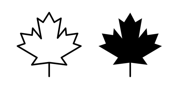 Maple leaf icon vector symbol group