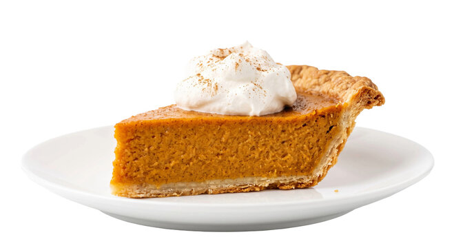 Delicious slice of pumpkin pie topped with whipped cream and cinnamon on a white plate