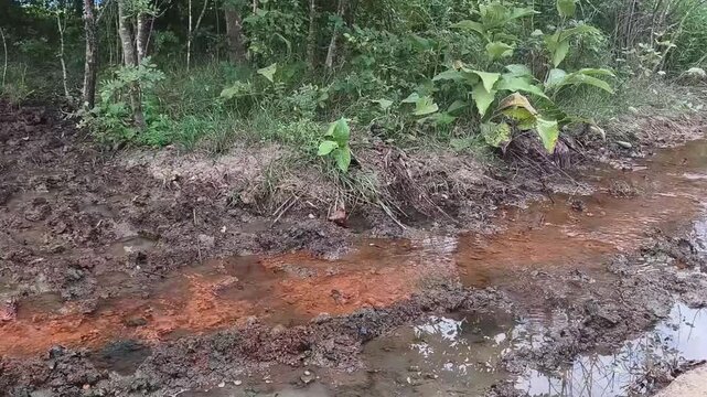 Muddy stream flows through forested area with orange sediment, showing natural erosion and environmental degradation. Concept of ecological imbalance and contamination.