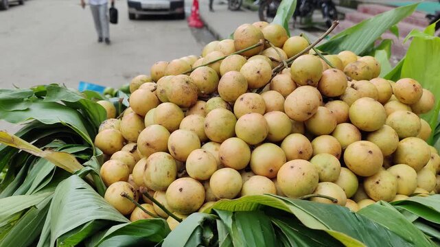 Fresh Rambai Fruits Baccaurea motleyana Displayed in Large Market Pile as Tropical Seasonal Produce