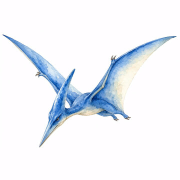 blue pterosaur watercolor vector illustration in white background 