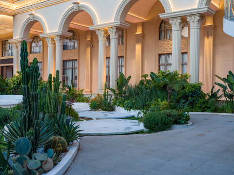 European classical building facade with tropical cactus garden at evening sunset