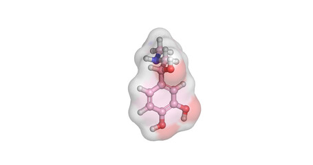 Epinephrine, adrenaline catecholamine hormone and neurotransmitter regulating fight-or-flight responses, 3D molecule 4K © MedBioChem