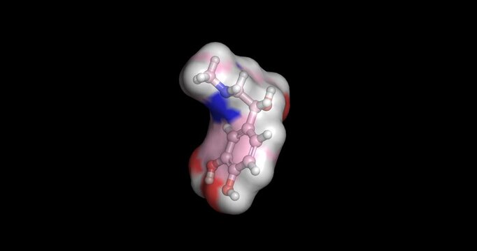 Epinephrine, adrenaline catecholamine hormone and neurotransmitter regulating fight-or-flight responses, 3D molecule spinning, 4K