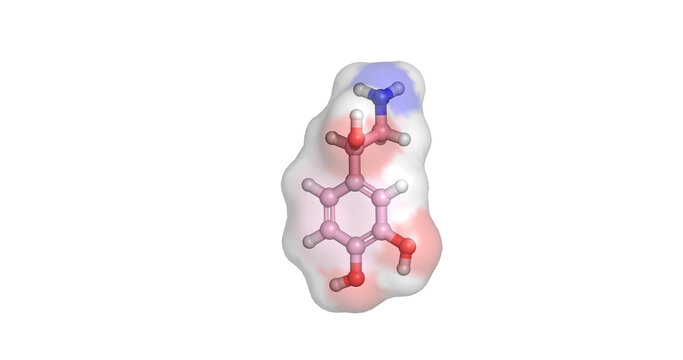 Norepinephrine, noradrenaline catecholamine hormone and neurotransmitter mediating sympathetic nervous system arousal and vasoconstriction, 3D molecule 4K