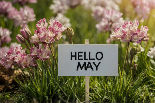 Poster card spring text lettering Hello May on romantic bloom blossom tree flowers AI Generative