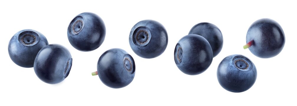 Eight whole bilberries scattered in a horizontal floating arrangement isolated on transparent background.