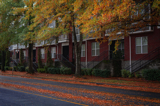 Autumn row of red-brown brick townhouses beneath large deciduous trees with vibrant orange and yellow foliage. Fallen leaves cover the sidewalk, the residential streetscape horizontal photo