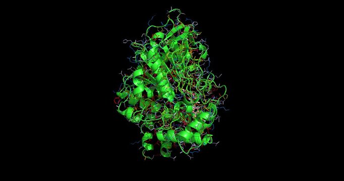 Anti-Alzheimer drug E2020 Aricept complexed with its target acetylcholinesterase, 3D molecule 4K spinning