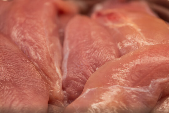 Raw chicken breast fillets arranged in close-up. Fresh poultry meat texture for food preparation, cooking, nutrition